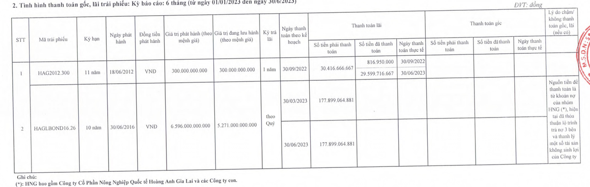 HAG chưa trả lãi 2 kỳ liên tiếp cho trái chủ trong nửa đầu năm 2023 (Nguồn: HAG)
