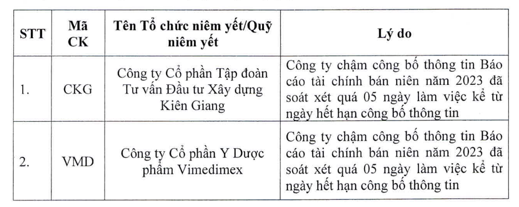 HOSE đưa thêm hai cổ phiếu CKG và VMD vào danh sách không đủ điều kiện cấp margin