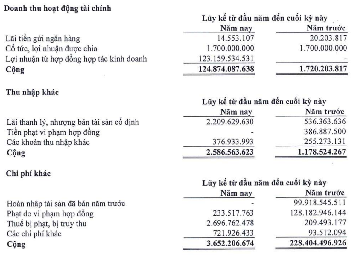 Cơ cấu doanh thu tài chính và lãi thu nhập khác trong nửa đầu năm 2024
