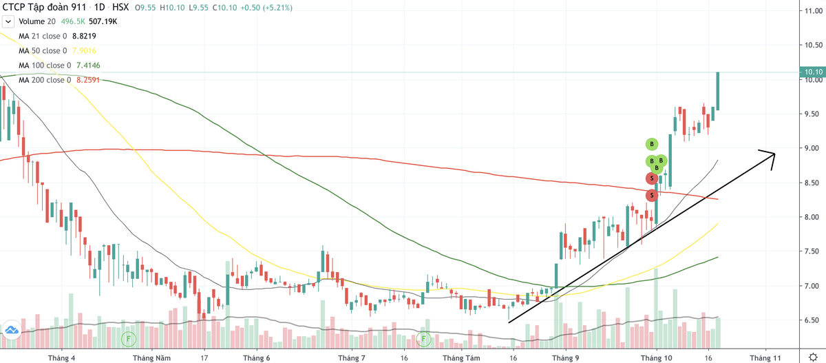 Cổ phiếu NO1 liên tục hút dòng tiền và bật tăng mạnh từ giữa tháng 8/2024 tới nay
