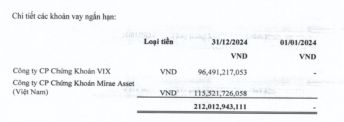 Dư nợ tăng lên năm 2024 chủ yếu do vay ngắn hạn công ty chứng khoán