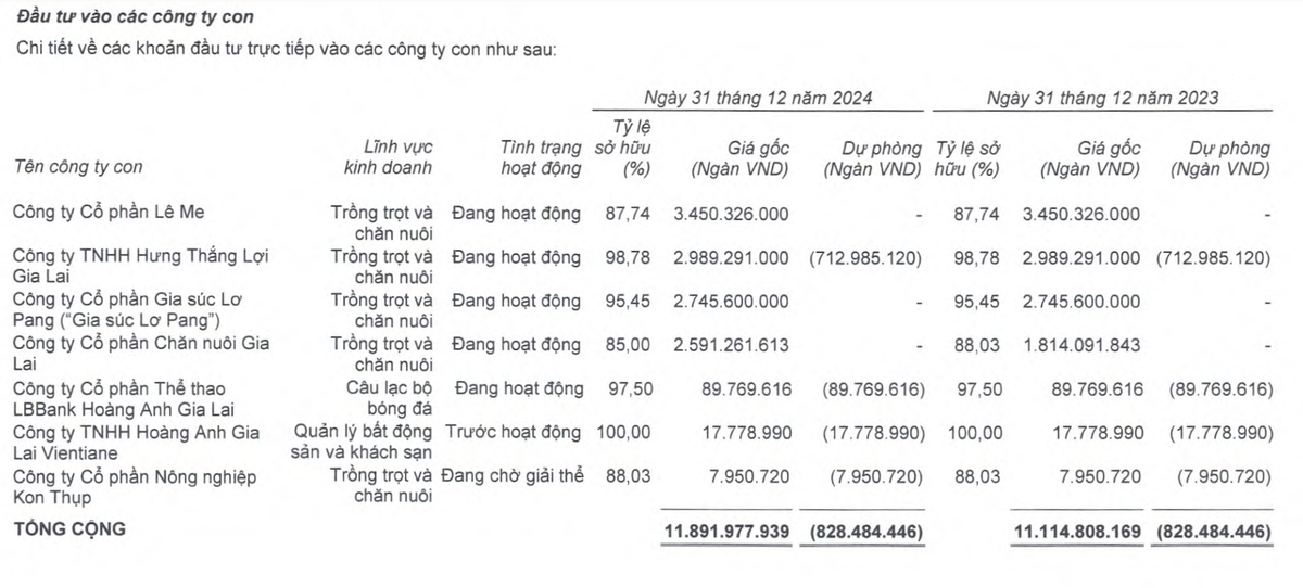 Hoàng Anh Gia Lai đã phải trích lập toàn bộ giá trị đầu tư vào Công ty cổ phần Nông nghiệp Kon Thụp
