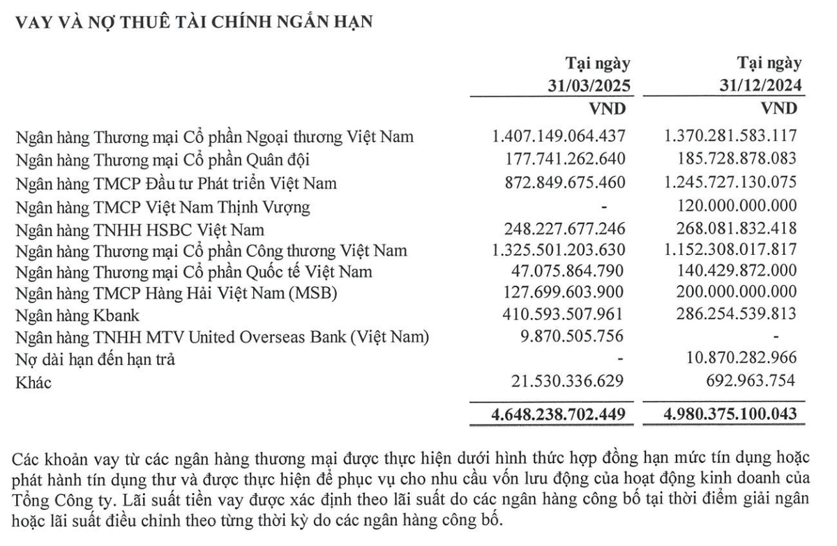 Cơ cấu nợ vay của Petrosetco tại thời điểm 31/3/2025
