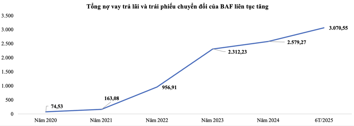 Tổng nợ vay trả lãi và trái phiếu chuyển đổi của BAF liên tục tăng (đơn vị: Tỷ VNĐ). Tổng nợ vay trả lãi và trái phiếu chuyển đổi của BAF liên tục tăng (đơn vị: Tỷ VNĐ).