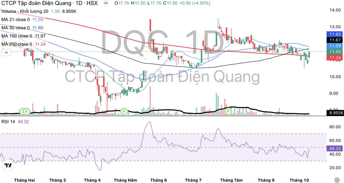 Cổ phiếu DQC có xu hướng giảm dần trong những tháng gần đây.