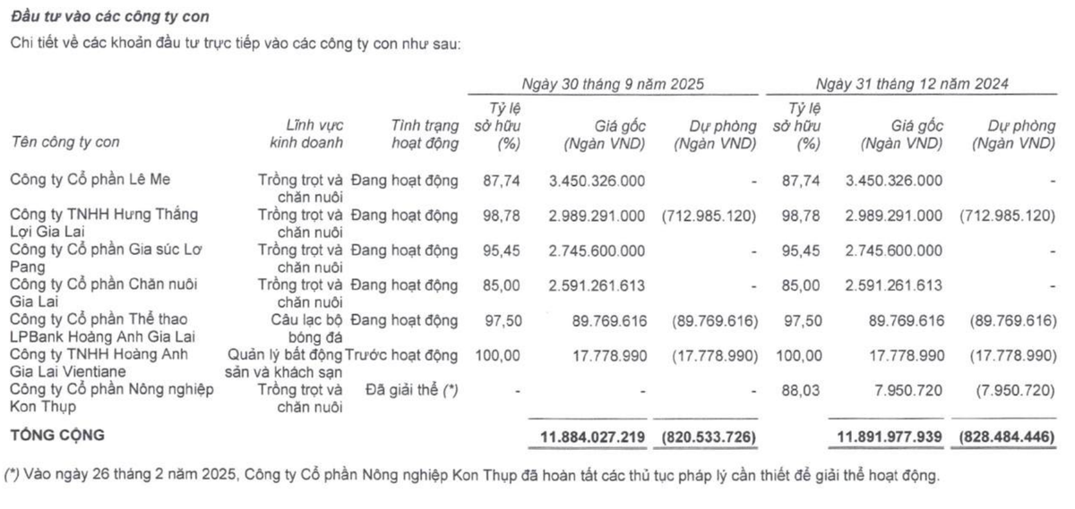 HAG lên kế hoạch niêm yết hai công ty con