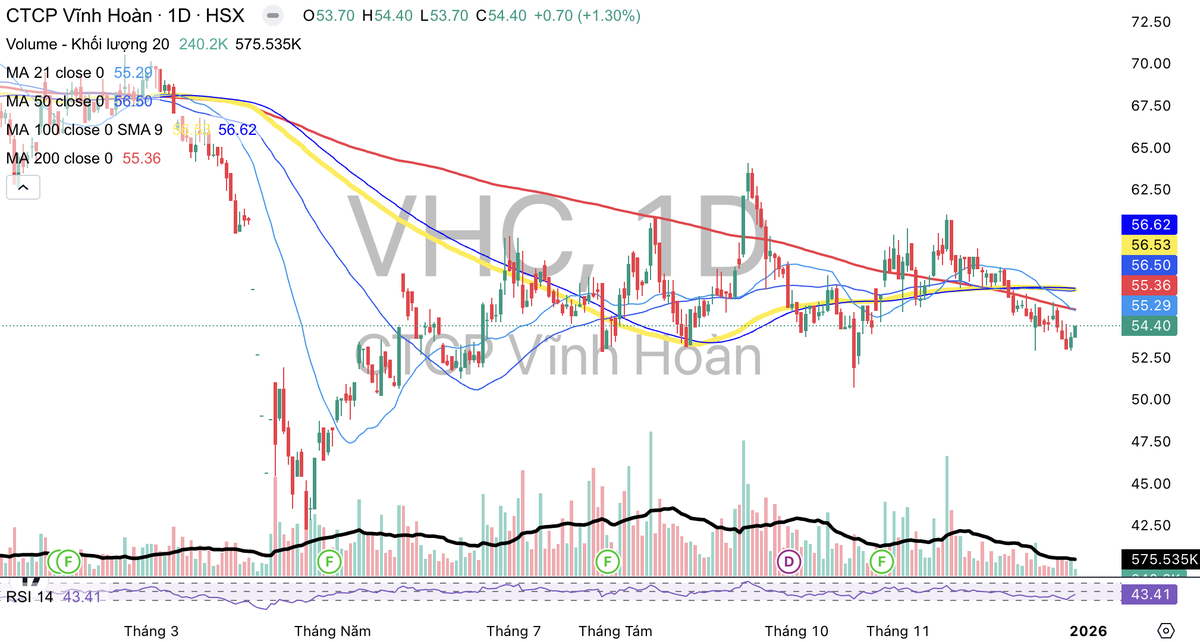 Cổ phiếu VHC nằm dưới đường MA 200.