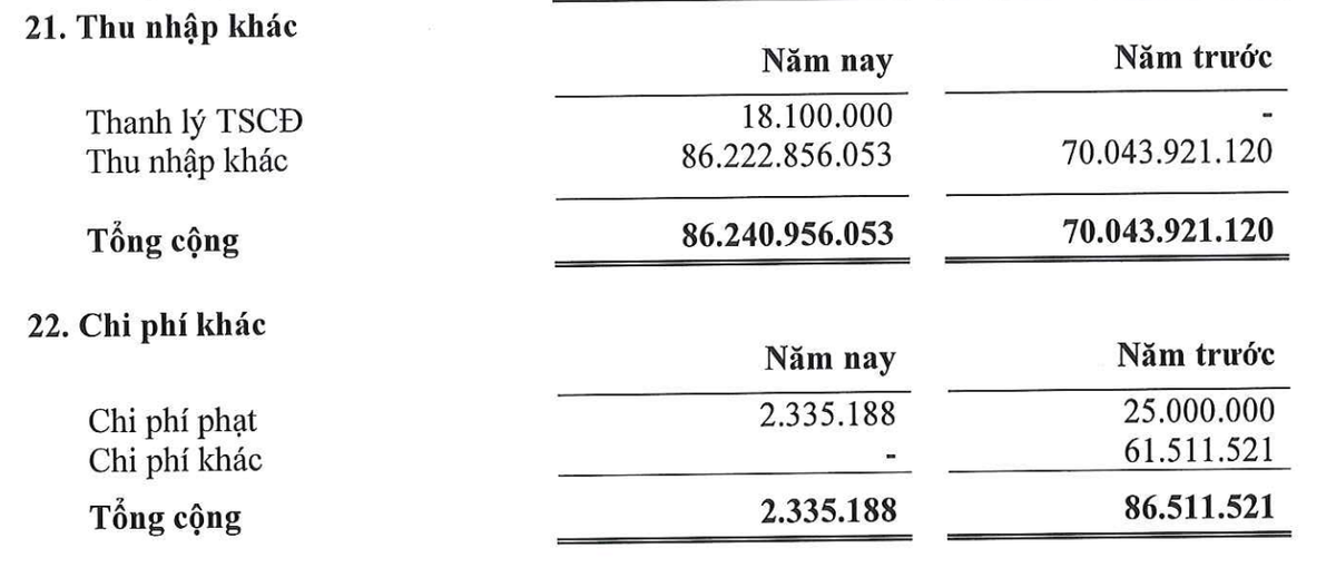 Cơ cấu thu nhập khác của Land Saigon trong năm 2025.