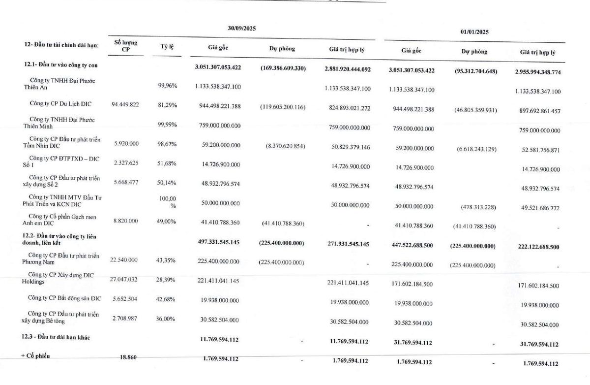 DIC Corp đang hạch toán hai công ty con là Đại Phước Thiên An và Đại Phước Thiên Minh.