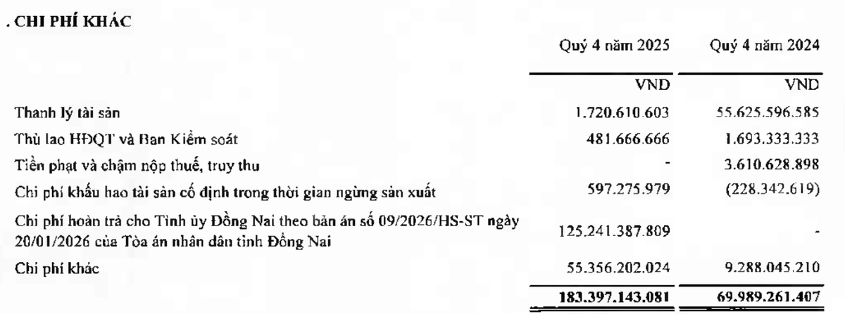 Tổng công ty Tín Nghĩa thuyết minh chi phí khác tăng đột biến liên quan ghi nhận 125,24 tỷ đồng hoàn trả cho Tỉnh uỷ Đồng Nai.