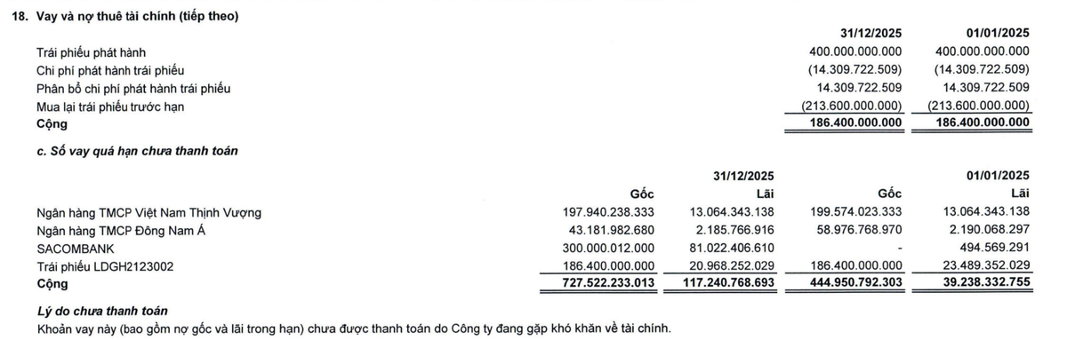 Đầu tư LDG ghi nhận khoản vay quá hạn chưa thanh toán tại thời điểm 31/12/2025.