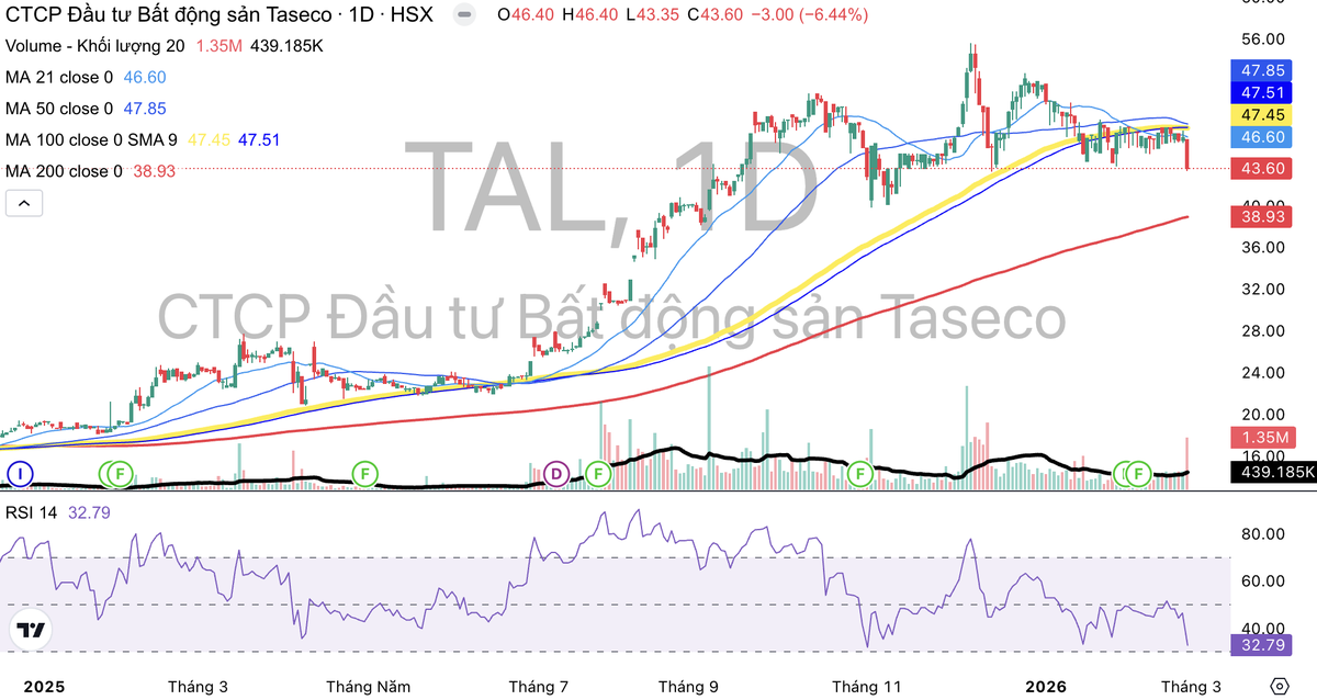 Cổ phiếu TAL tăng mạnh sau khi chào sàn HOSE.