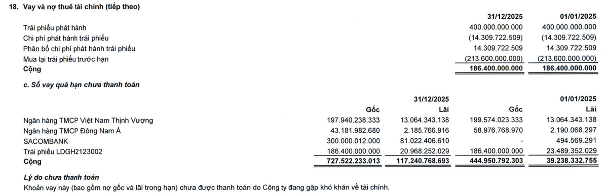 LDG thuyết minh một số khoản vay và trái phiếu đã quá hạn chưa thanh toán tại thời điểm 31/12/2025. Nguồn: LDG