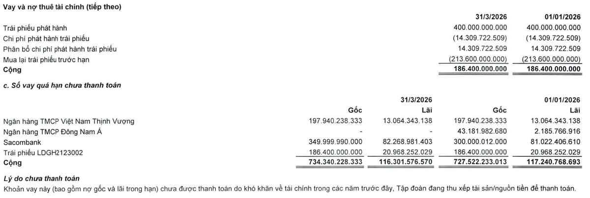 LDG phát sinh nợ vay quá hạn chưa thanh toán.