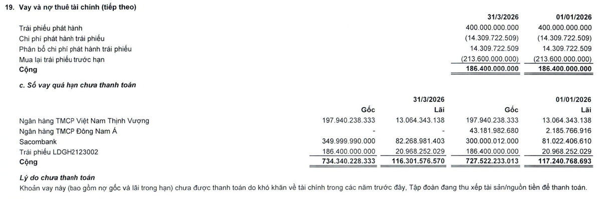 Đầu tư LDG đang phát sinh nợ quá hạn chưa thanh toán tại thời điểm 31/3/2026.