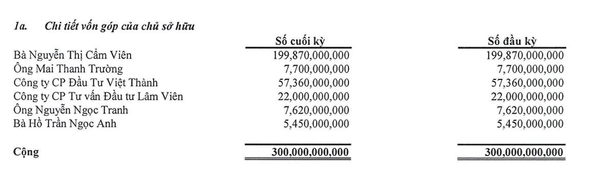Cơ cấu cổ đông lớn của Chứng khoán Việt Thành tại thời điểm cuối quý I/2026.