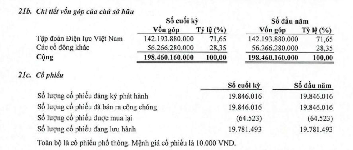 Tư vấn Xây dựng Điện 4 chỉ có 1 cổ đông lớn tại thời điểm 30/6/2026.
