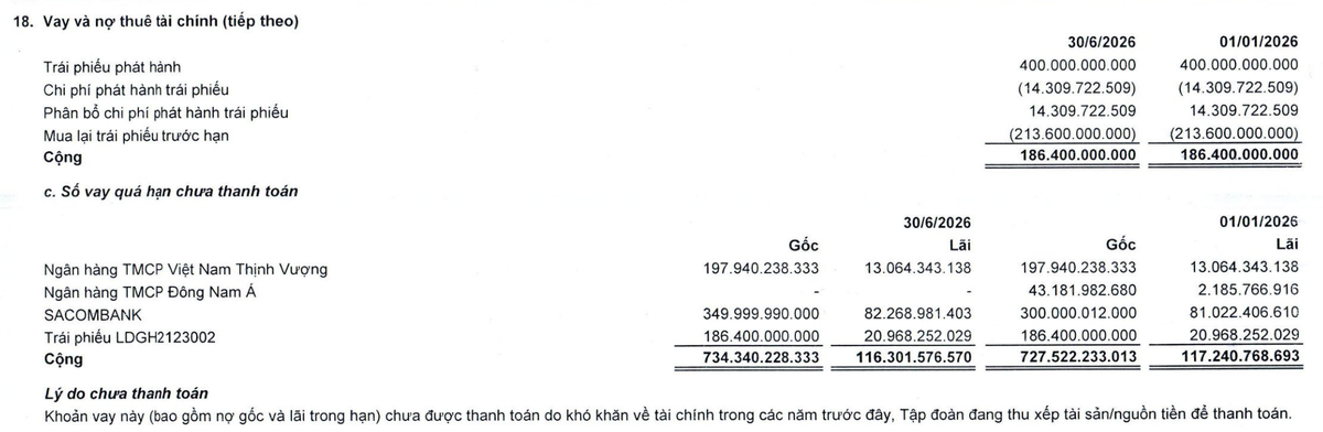LDG đang chậm trả gốc và lãi vay ngân hàng và trái phiếu phát hành. LDG đang chậm trả gốc và lãi vay ngân hàng và trái phiếu phát hành.