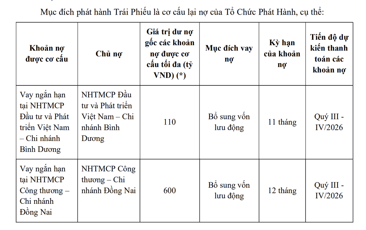 Mục đích huy động trái phiếu của BCM để cơ cấu lại nợ.