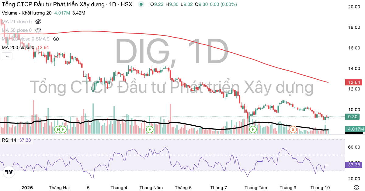 Cổ phiếu DIG vẫn đang dò đáy.