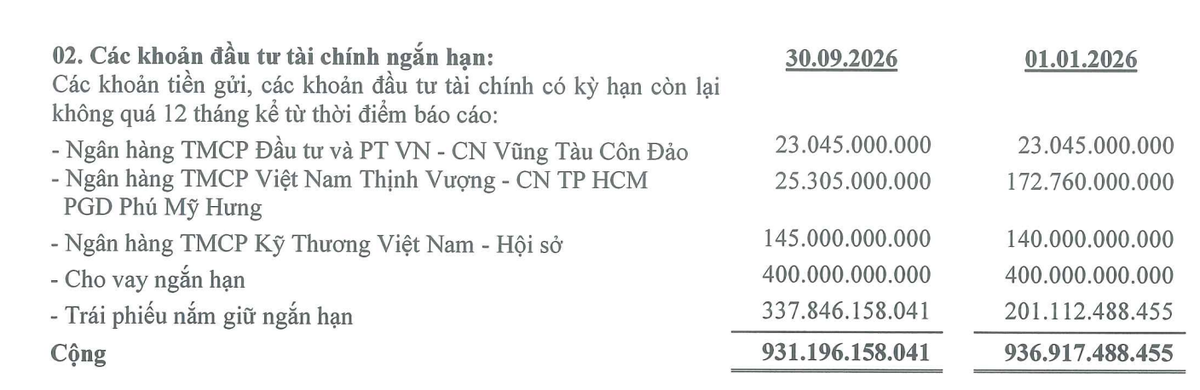 Danh mục đầu tư tài chính ngắn hạn của Long Sơn PIC tại thời điểm 30/9/2026.