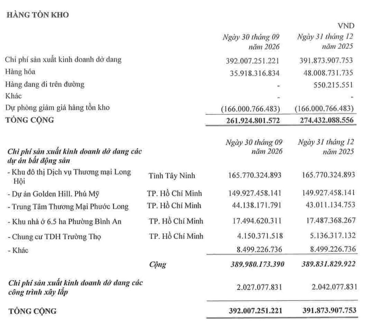 Cơ cấu tồn kho của Thuduc House tại thời điểm 30/9/2026.