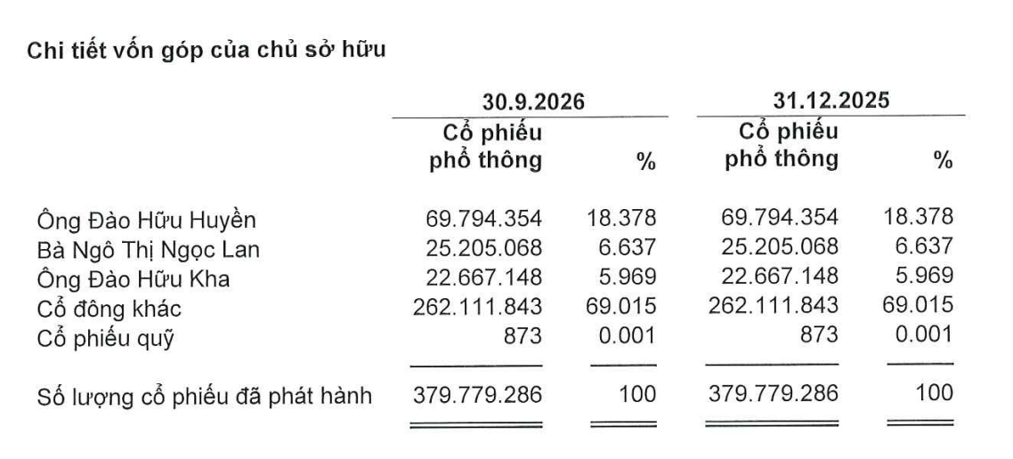Cơ cấu cổ đông của Hoá chất Đức Giang tại thời điểm 30/9/2026.