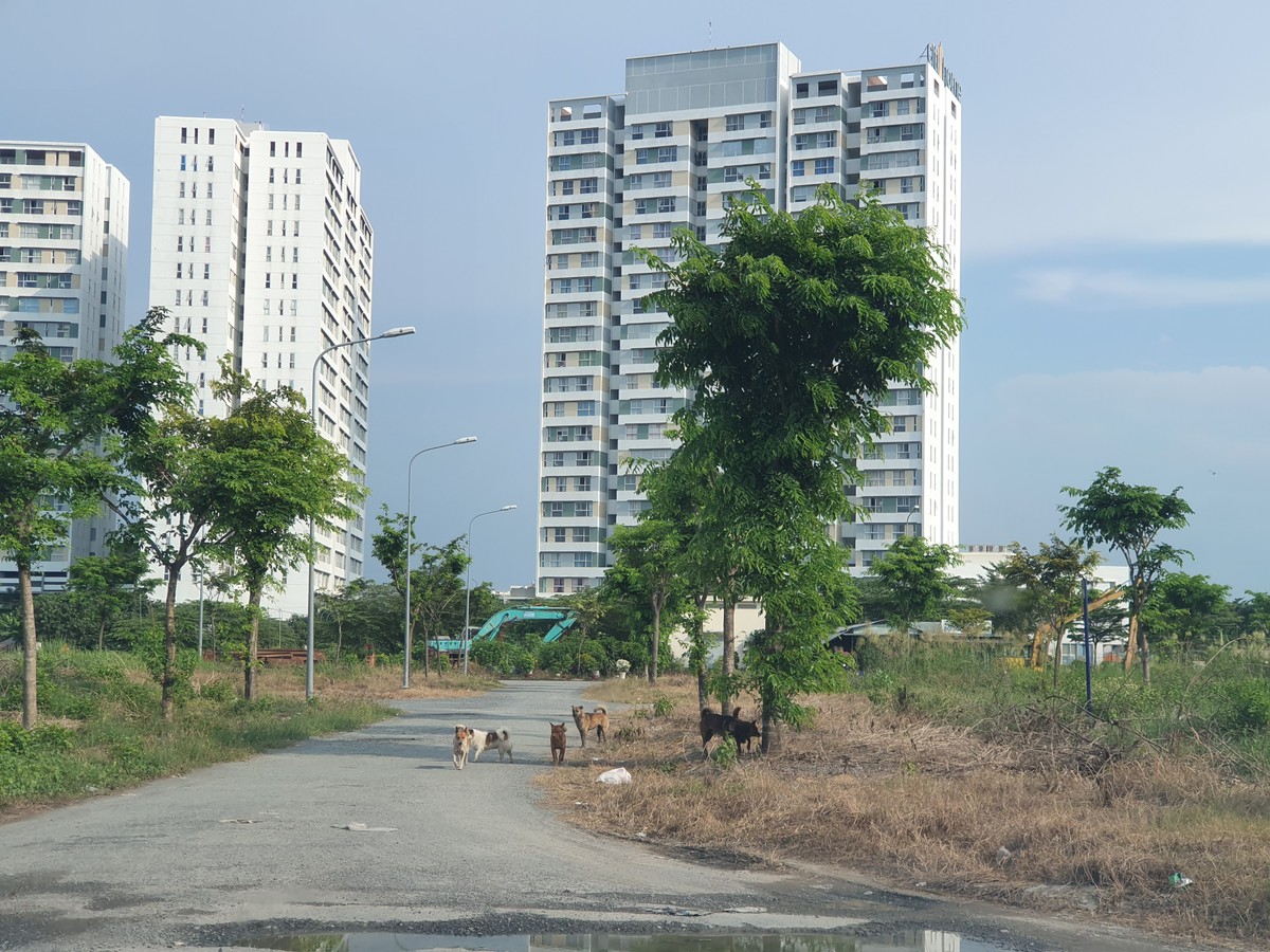 Biệt thự chục tỷ tại khu đô thị của Kiến Á chỉ để... nuôi gà ảnh 6