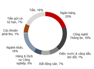 NAV của Quỹ đầu tư cổ phiếu Techcom (TCFF) giảm mạnh gần 18% sau 6 tháng ảnh 2