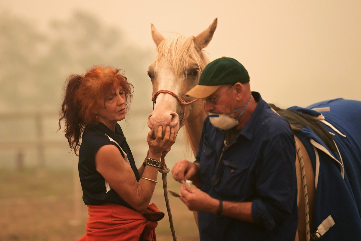 Sinh vật ở Úc vật lộn với thảm họa cháy rừng ảnh 11