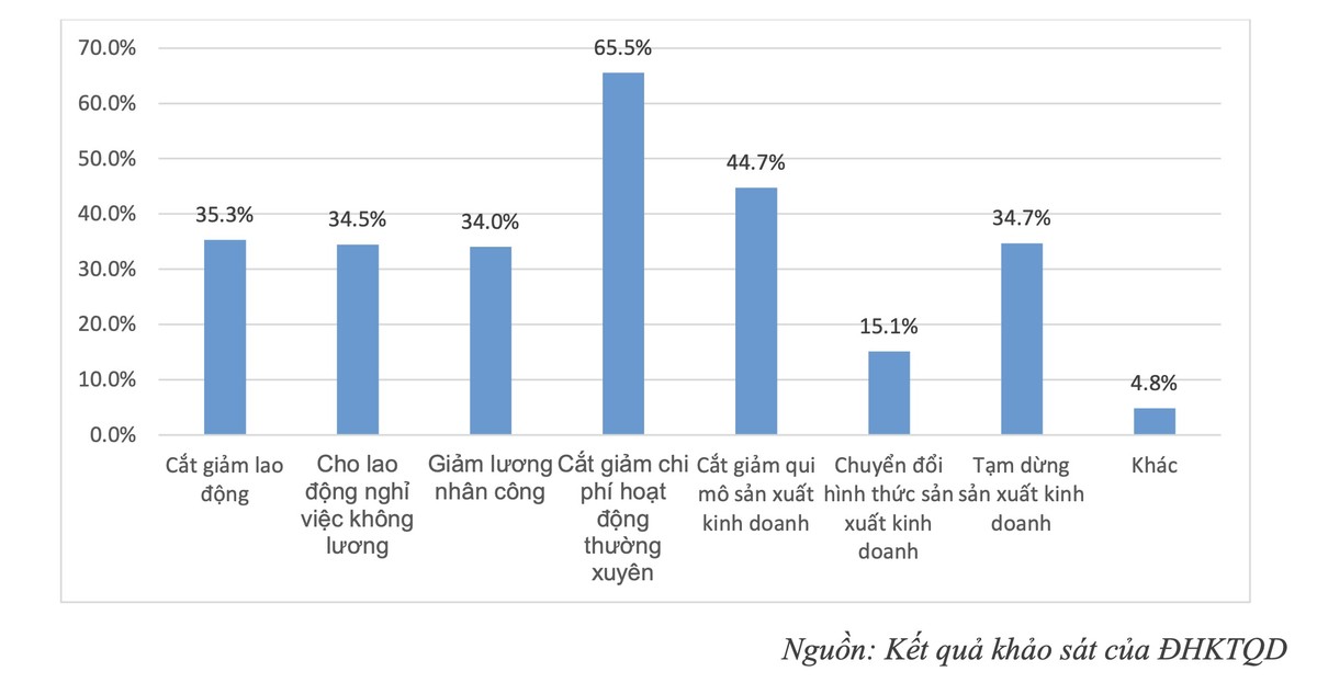 Nếu dịch Covid-19 kéo dài đến tháng 6, chỉ còn 15% doanh nghiệp duy trì được hoạt động ảnh 1
