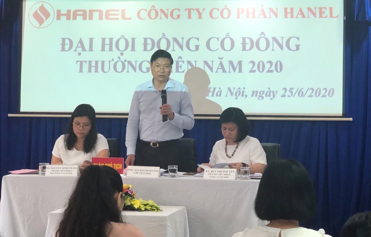 ĐHCĐ Hanel: Điểm nhấn câu chuyện thoái vốn nhà nước ảnh 1