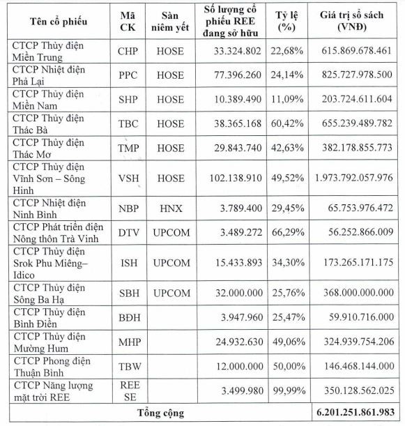 Danh sách các cổ phiếu mảng điện mà REE sẽ chuyển quyền sở hữu sang REE Energy.