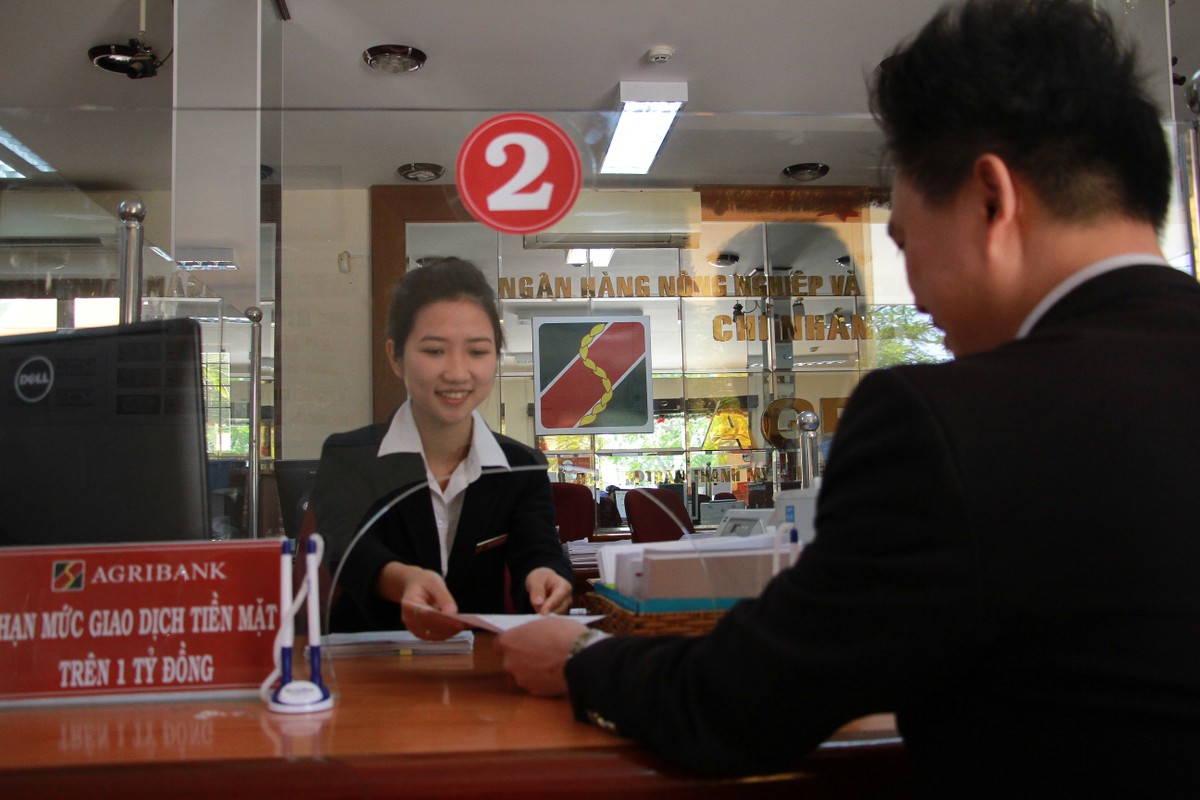 Agribank góp phần đẩy nhanh quá trình xử lý nợ xấu ảnh 1