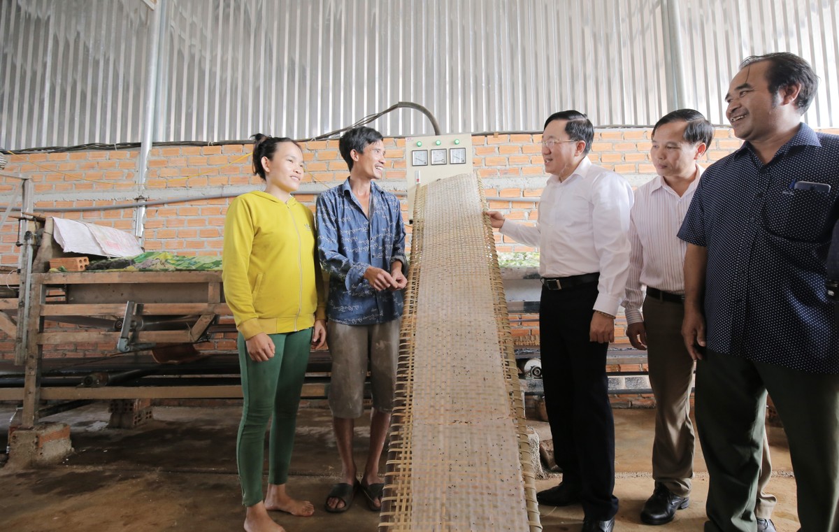 Tín dụng chính sách: Trợ lực trực tiếp các Chương trình Mục tiêu quốc gia ảnh 1