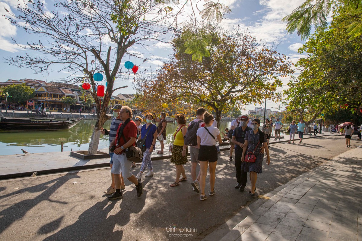 Bình yên từng khoảnh khắc tại phố cổ Hội An ảnh 6