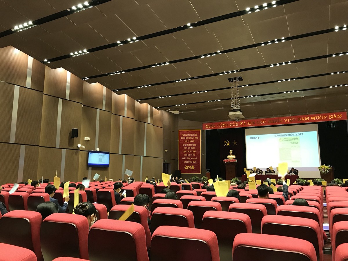 Đại hội đồng cổ đông sớm và khá vắng của BIDV ảnh 5