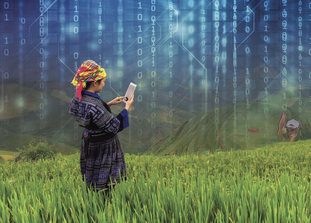 Nông dân cầm thiết bị thông minh trông lúa trên cánh đồng ở Việt Nam. Ảnh: Peerapas Mahamongkolsawas/Shutterstock