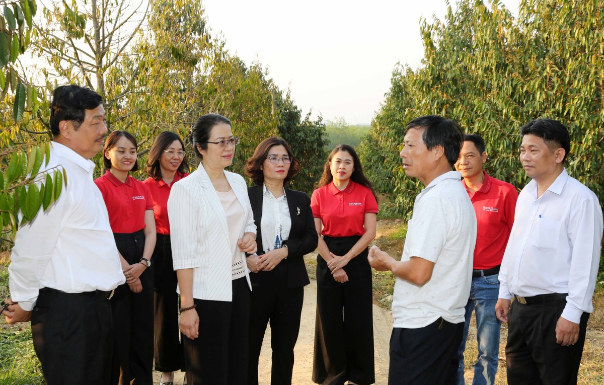 Agribank chào bán trái phiếu ra công chúng năm 2022 là sử dụng để tăng vốn cấp 2, tạo thêm nguồn vốn dài hạn đáp ứng nhu cầu vay vốn của các khách hàng cá nhân và tổ chức... như hộ nông dân Bùi Văn Quyển, xã Ya Ly, huyện Sa Thầy, tỉnh Kon Tum. Agribank chào bán trái phiếu ra công chúng năm 2022 là sử dụng để tăng vốn cấp 2, tạo thêm nguồn vốn dài hạn đáp ứng nhu cầu vay vốn của các khách hàng cá nhân và tổ chức... như hộ nông dân Bùi Văn Quyển, xã Ya Ly, huyện Sa Thầy, tỉnh Kon Tum.