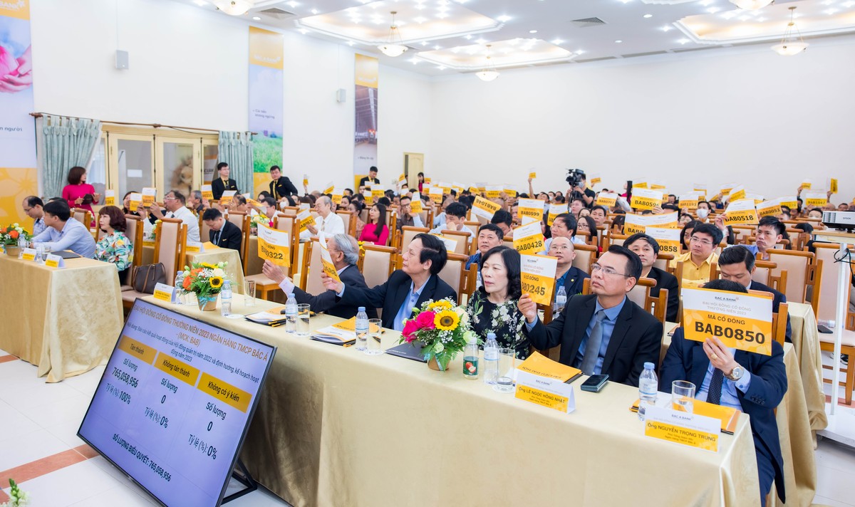 Các cổ đông biểu quyết tại Đại hội đồng cổ đông thường niên 2023