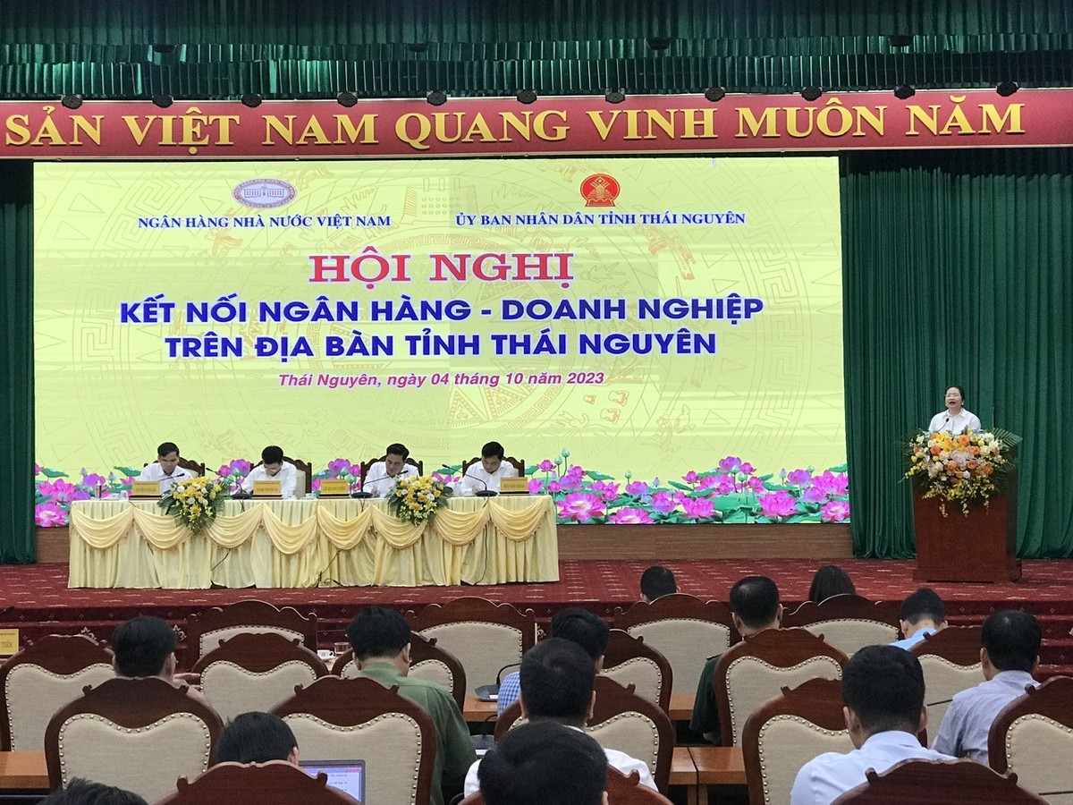 Bà Nguyễn Thị Vinh, Chủ tịch Hội nữ doanh nhân tỉnh Thái Nguyên, Phó Chủ tịch Hiệp hội Doanh nghiệp tỉnh Thái Nguyên, Tổng Giám đốc Công ty cổ phần Thương mại Thái Hưng phát biểu tại Hội nghị