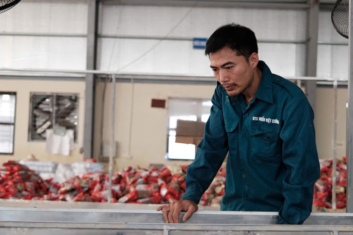 Anh Nguyễn Văn Ba, Giám đốc Hợp tác xã Việt Cường vẫn còn bần thần về những gì đang xảy ra