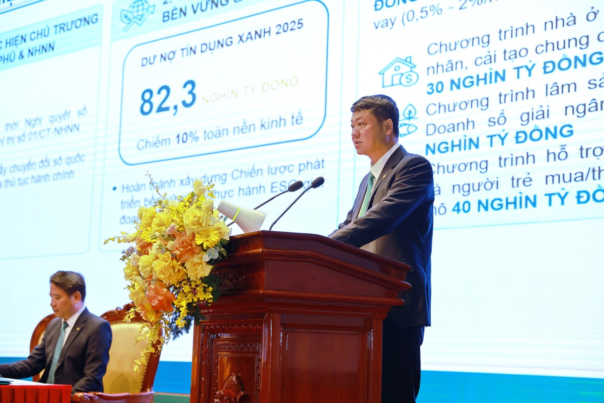 Ông Lê Ngọc Lâm, Tổng giám đốc BIDV trình bày tại Đại hội