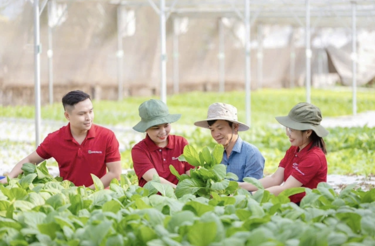 Trong những năm gần đây, Agribank đã triển khai nhiều chương trình tín dụng quy mô lớn phục vụ nông nghiệp công nghệ cao, nông nghiệp sạch và sản xuất phát thải thấp. Trong những năm gần đây, Agribank đã triển khai nhiều chương trình tín dụng quy mô lớn phục vụ nông nghiệp công nghệ cao, nông nghiệp sạch và sản xuất phát thải thấp.