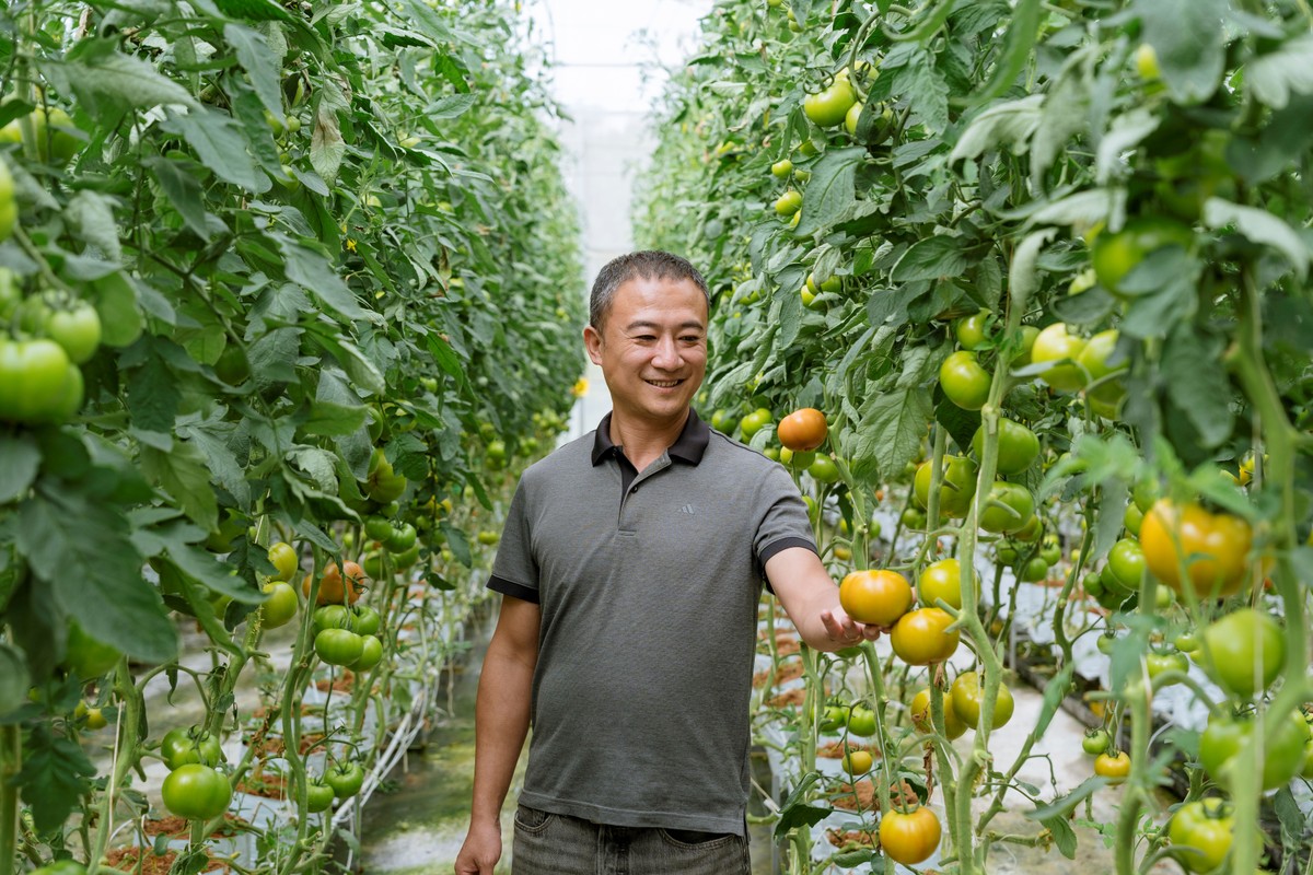 Khách hàng của BIDV với mô hình nông nghiệp hữu cơ tại Lâm Hà