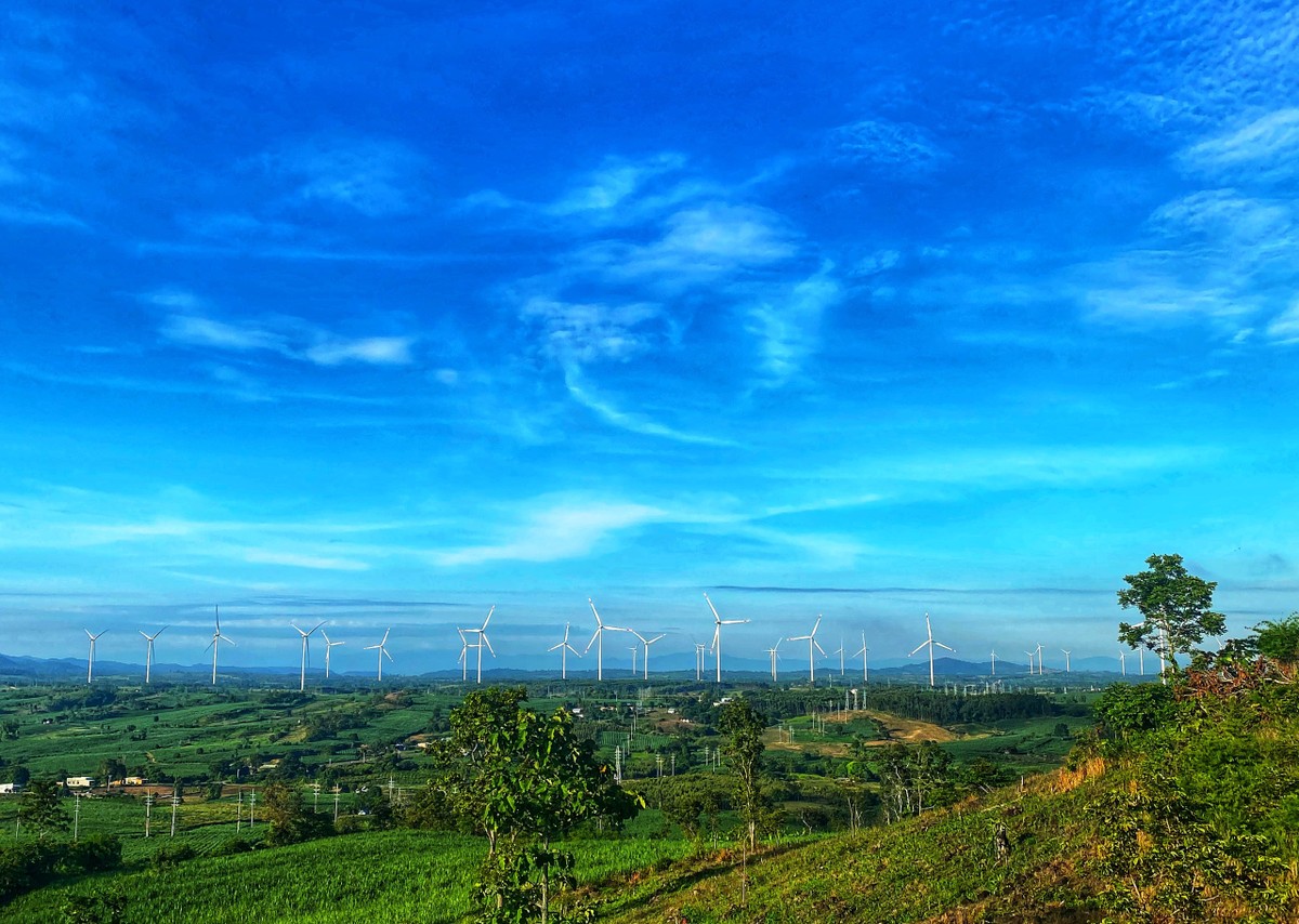 Dự án nhà máy điện gió Yang Trung – Gia Lai (Ảnh: Sưu tầm)