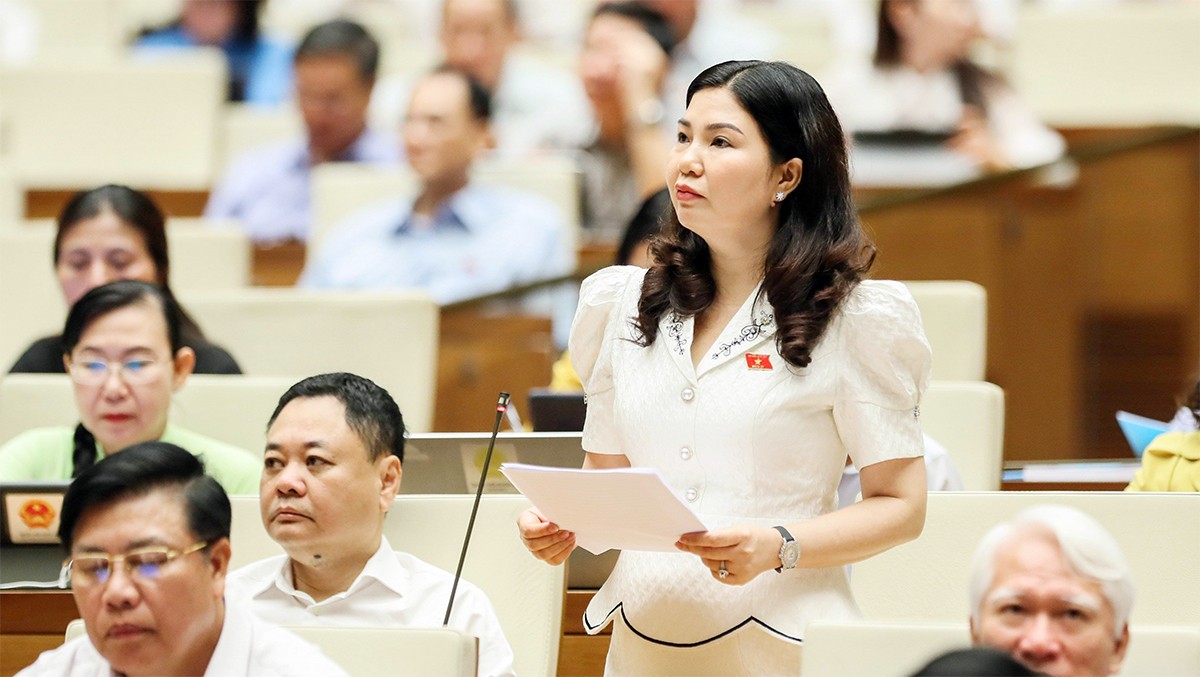 ĐBQH Trần Thị Vân phát biểu sáng 31/5