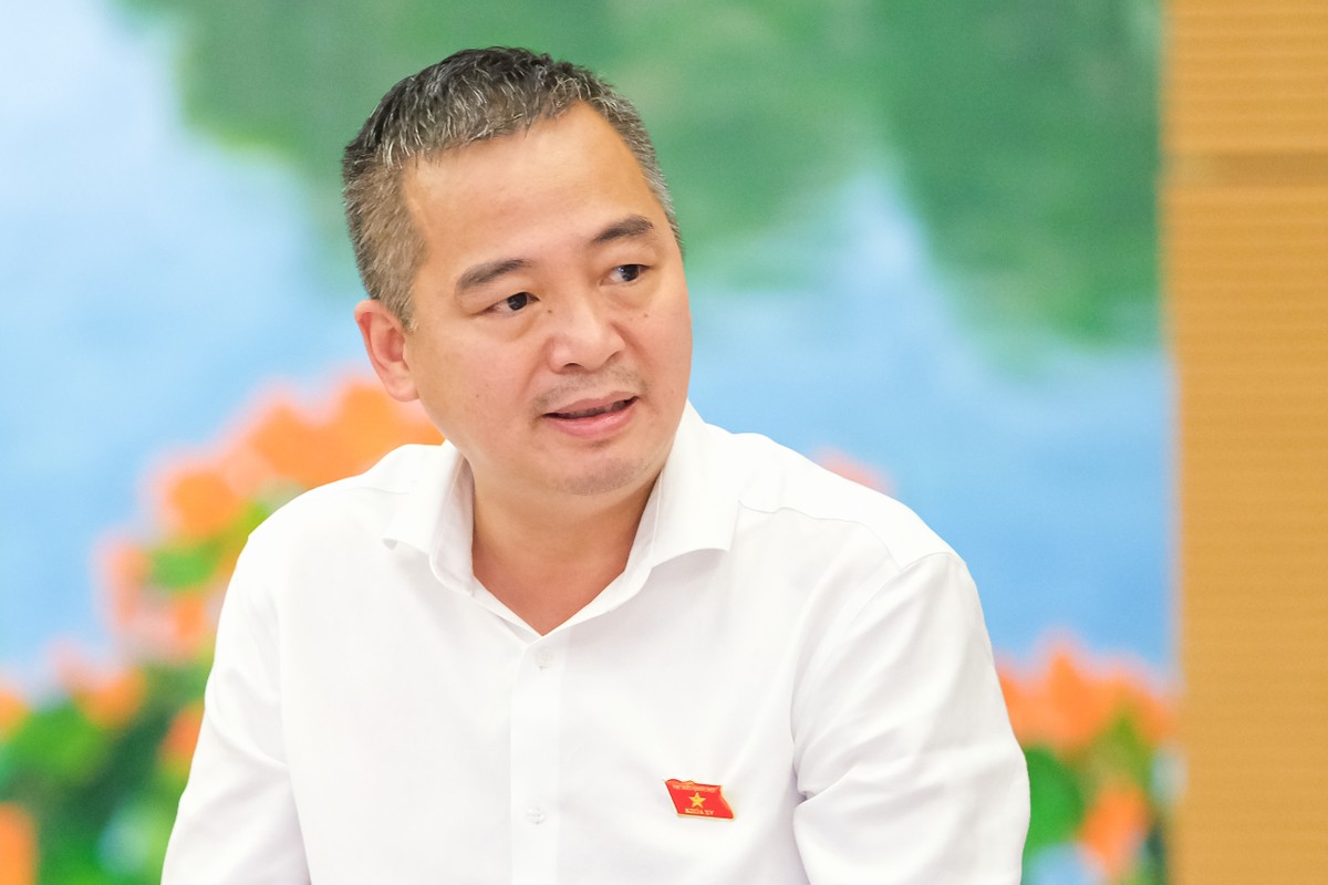 Đại biểu Nguyễn Lân Hiếu (đoàn Bình Định)