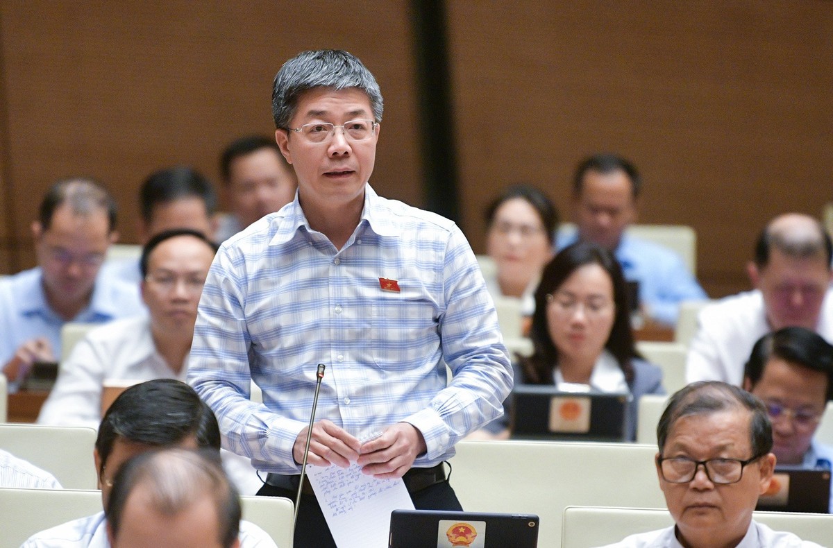 Đại biểu Nguyễn Mạnh Hùng (đoàn Cần Thơ)