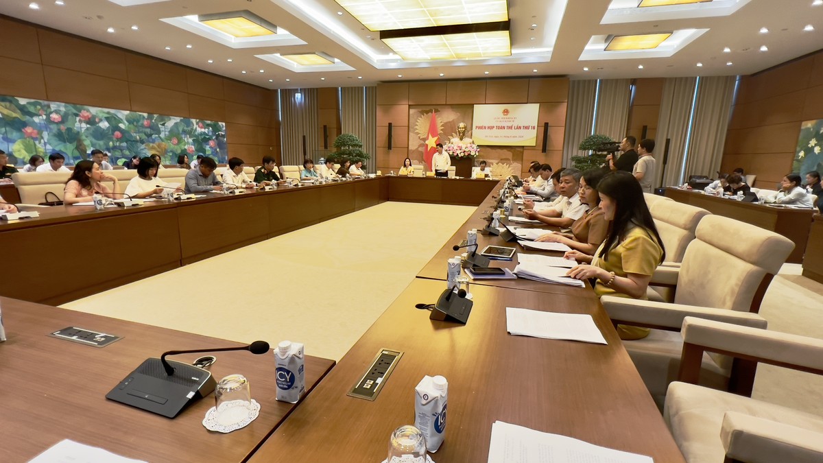 Phiên họp toàn thể của Uỷ ban Kinh tế chiều 11/6/2024 (Ảnh: M.M)